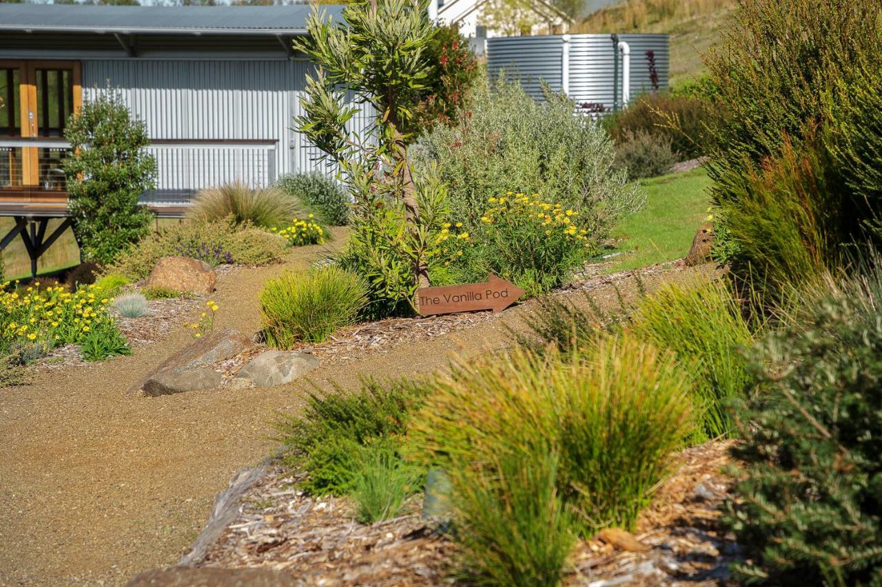 Bed and Breakfast Hobart Hideaway Pods Kingston Exteriér fotografie